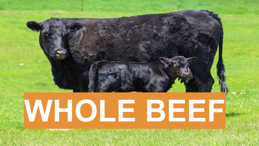 Whole Beef Deposit